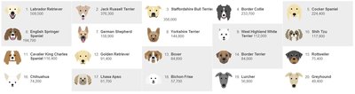 dogs.jpg